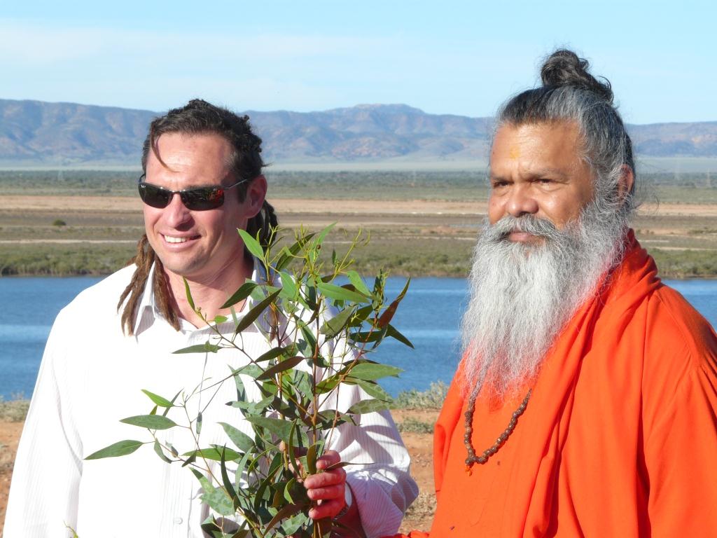 Peace_Tree_Port_Augusta_2