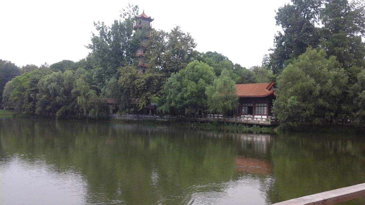 Moments of yoga sessions in Chinese city of Wuhan