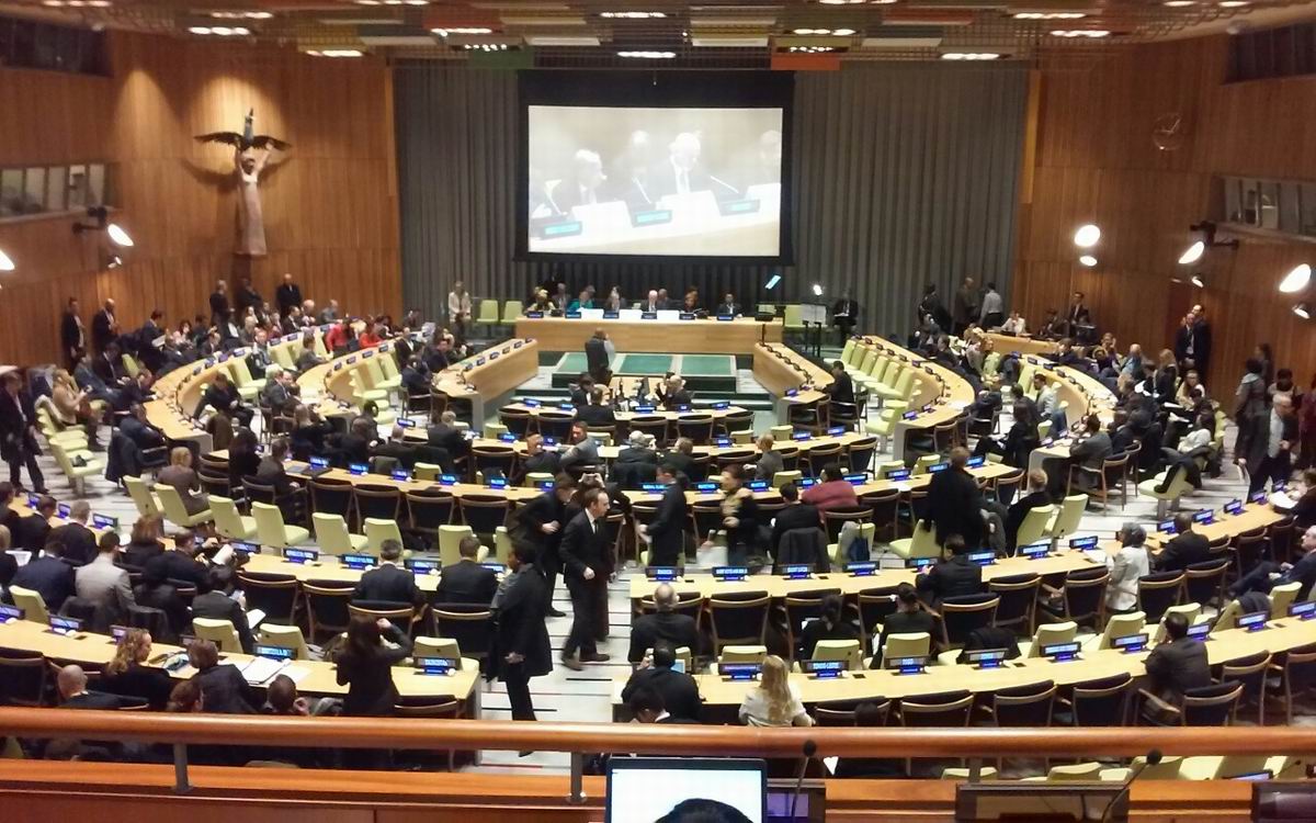 Representatives of YIDL and SSMWPC participate in UN High Level Summit