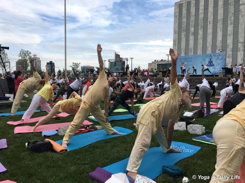 20180620 idy ny asanas un 1200 wm