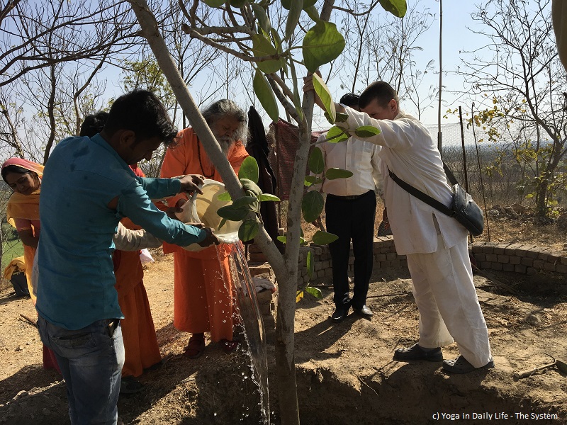 2019 01 banyan tree planting 6