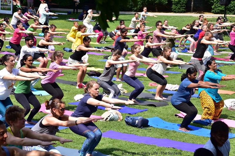 idy 2019 vienna 7