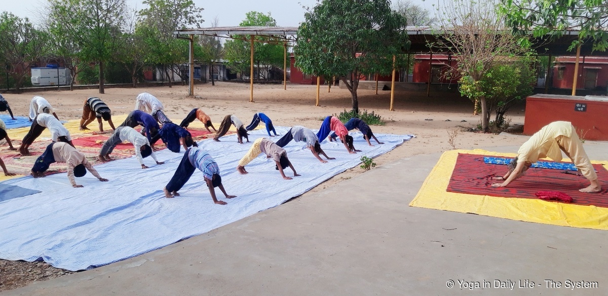 idy kailash ashram 1