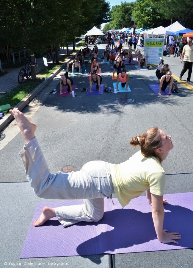 idy 2019 washington dc   yoga asanas at street festival