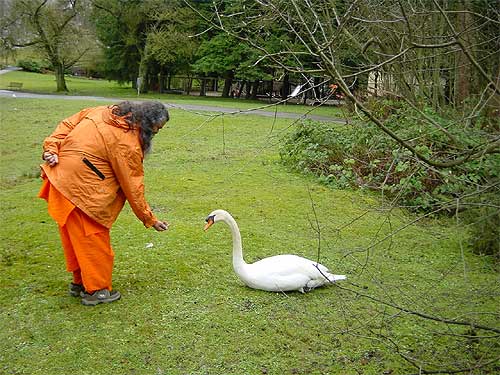 In Stanley Park