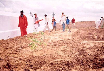 Tree planting: the first tree is planted