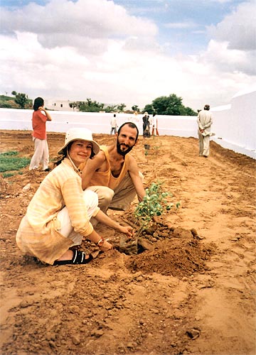 Tree planting