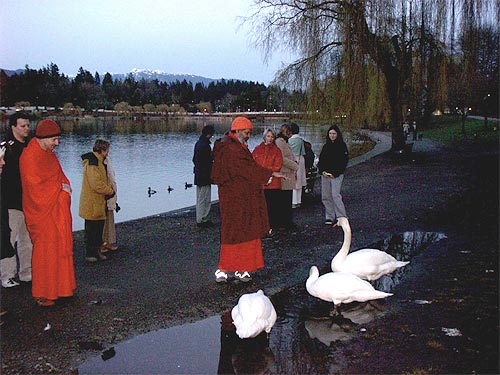 At the Stanley Park