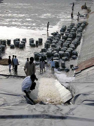 Soon after puja, talab began to fill with precious water!