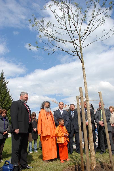 Planting of a peace tree with the Mayor Toni Dragar