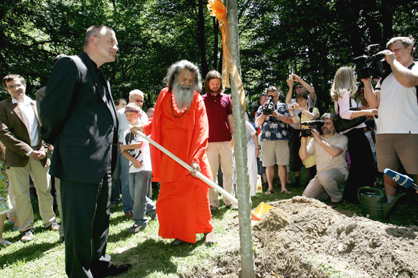 Peace tree planting