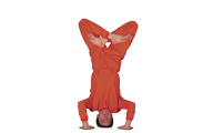 Padma Vrikshasana